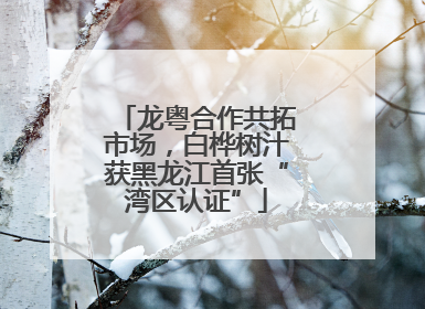 龙粤合作共拓市场，白桦树汁获黑龙江首张“湾区认证”