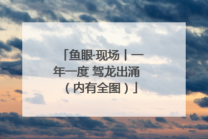 鱼眼·现场丨一年一度 驾龙出涌（内有全图）