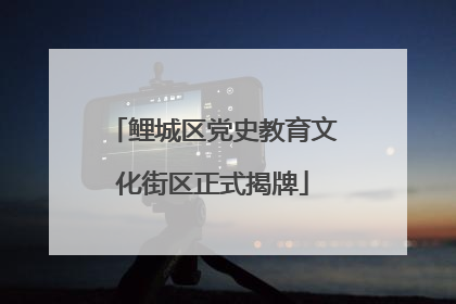 鲤城区党史教育文化街区正式揭牌