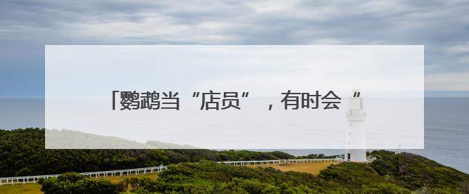 鹦鹉当“店员”，有时会“吃醋”！“鸟咖”火出圈