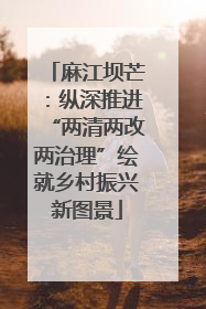 麻江坝芒：纵深推进“两清两改两治理”绘就乡村振兴新图景