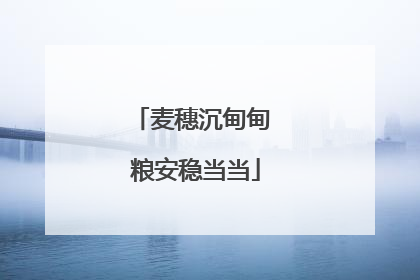 麦穗沉甸甸 粮安稳当当