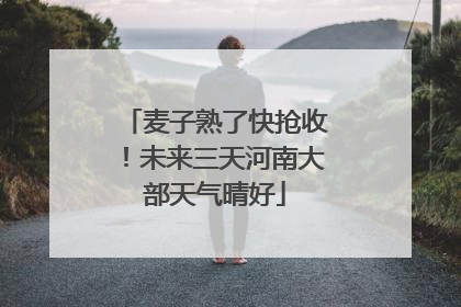麦子熟了快抢收！未来三天河南大部天气晴好