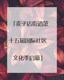 麦子店街道第十五届国际社区文化季启幕