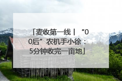 麦收第一线丨“00后”农机手小徐：5分钟收完一亩地