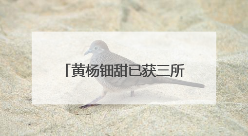 黄杨钿甜已获三所高校合格证，中传回应网络争议是否影响其高考录取：符合录取条件就能录取