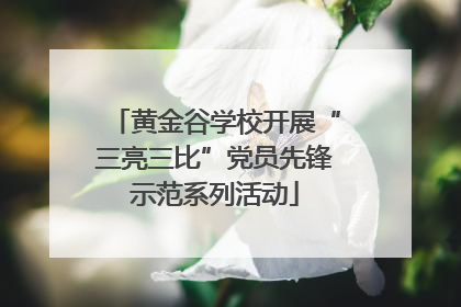 黄金谷学校开展“三亮三比”党员先锋示范系列活动