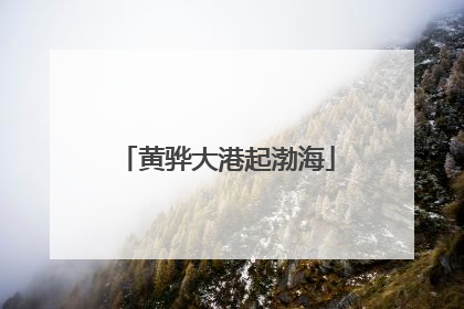 黄骅大港起渤海