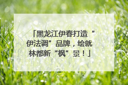 黑龙江伊春打造“伊法调”品牌，绘就林都新“枫”景！