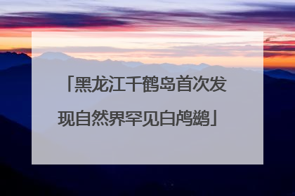 黑龙江千鹤岛首次发现自然界罕见白鸬鹚