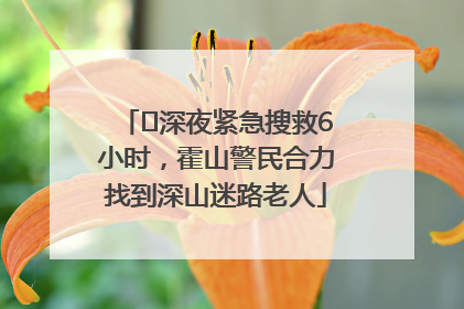 ﻿深夜紧急搜救6小时，霍山警民合力找到深山迷路老人