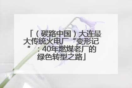 （碳路中国）大连最大传统火电厂“变形记”：40年燃煤老厂的绿色转型之路