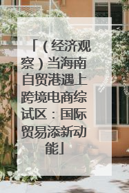 （经济观察）当海南自贸港遇上跨境电商综试区：国际贸易添新动能