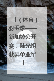 （体育）羽毛球——新加坡公开赛：陆光祖获男单亚军