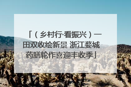 （乡村行·看振兴）一田双收绘新景 浙江婺城药膳轮作喜迎丰收季