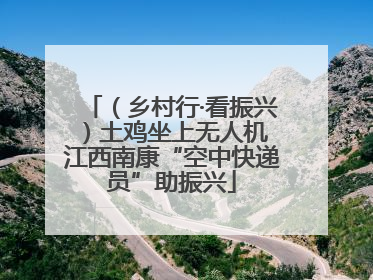 （乡村行·看振兴）土鸡坐上无人机 江西南康“空中快递员”助振兴
