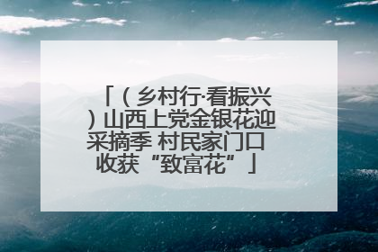 （乡村行·看振兴）山西上党金银花迎采摘季 村民家门口收获“致富花”