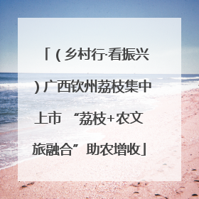 （乡村行·看振兴）广西钦州荔枝集中上市 “荔枝+农文旅融合”助农增收