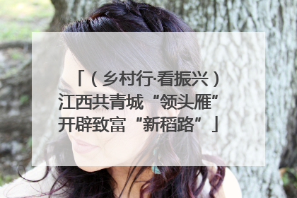 （乡村行·看振兴）江西共青城“领头雁”开辟致富“新稻路”