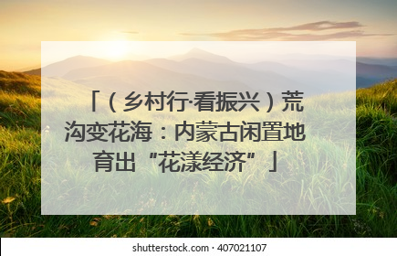 （乡村行·看振兴）荒沟变花海：内蒙古闲置地育出“花漾经济”
