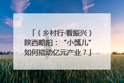 （乡村行·看振兴）陕西略阳：“小瓢儿”如何撬动亿元产业？