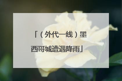 （外代一线）墨西哥城遭遇降雨