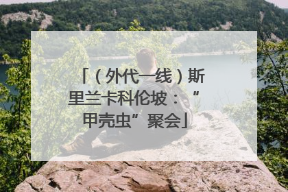 （外代一线）斯里兰卡科伦坡：“甲壳虫”聚会