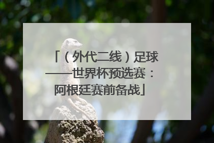 （外代二线）足球——世界杯预选赛：阿根廷赛前备战