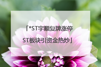 *ST宇顺复牌涨停 ST板块引资金热炒