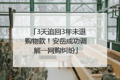 3天追回3年未退购物款！安岳成功调解一网购纠纷