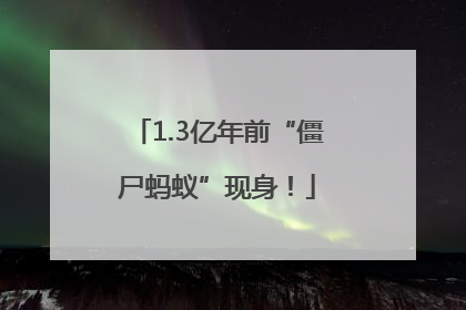 1.3亿年前“僵尸蚂蚁”现身！