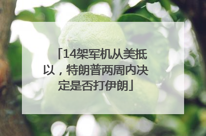 14架军机从美抵以，特朗普两周内决定是否打伊朗