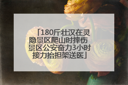 180斤壮汉在灵隐景区爬山时摔伤 景区公安奋力3小时接力抬担架送医