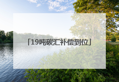 19吨碳汇补偿到位