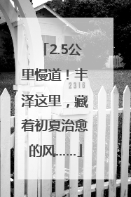 2.5公里慢道！丰泽这里，藏着初夏治愈的风……