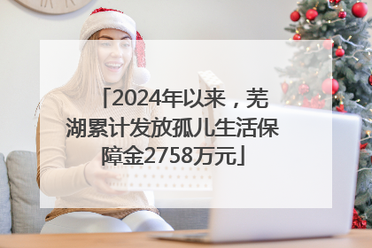 2024年以来，芜湖累计发放孤儿生活保障金2758万元