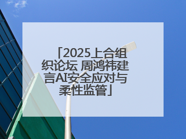 2025上合组织论坛 周鸿祎建言AI安全应对与柔性监管