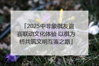 2025中非象棋友谊赛联动文化体验 以棋为桥共筑文明互鉴之路