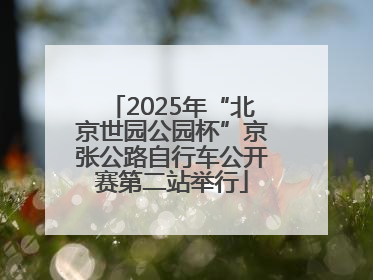 2025年“北京世园公园杯”京张公路自行车公开赛第二站举行