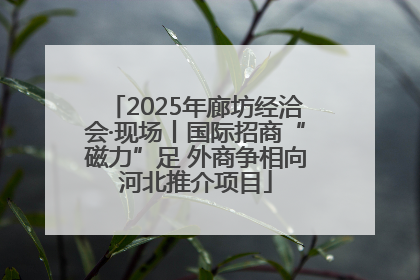 2025年廊坊经洽会·现场丨国际招商“磁力”足 外商争相向河北推介项目