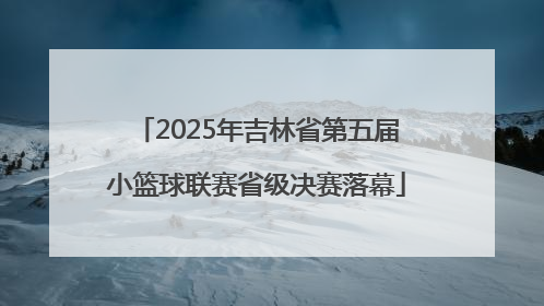 2025年吉林省第五届小篮球联赛省级决赛落幕
