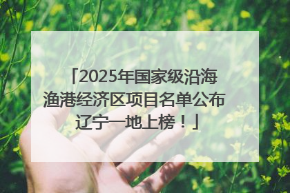 2025年国家级沿海渔港经济区项目名单公布 辽宁一地上榜！
