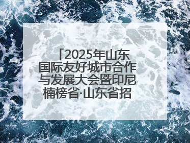 2025年山东国际友好城市合作与发展大会暨印尼楠榜省·山东省招商交流会在济南槐荫举行