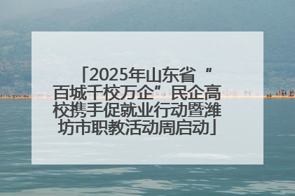 2025年山东省“百城千校万企”民企高校携手促就业行动暨潍坊市职教活动周启动
