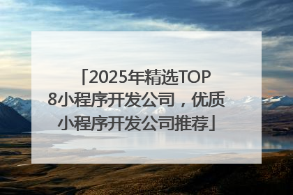 2025年精选TOP8小程序开发公司，优质小程序开发公司推荐
