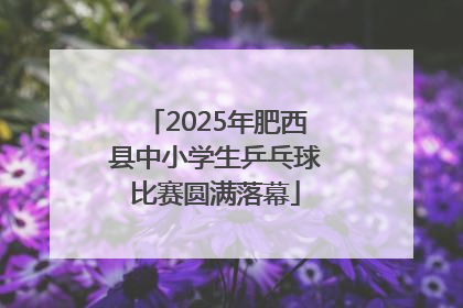 2025年肥西县中小学生乒乓球比赛圆满落幕