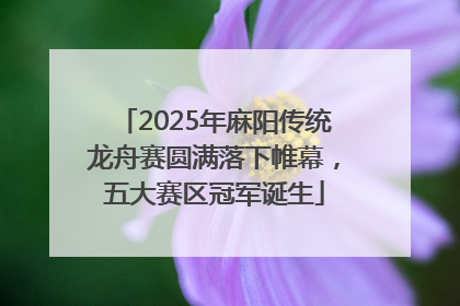 2025年麻阳传统龙舟赛圆满落下帷幕，五大赛区冠军诞生