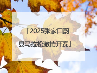 2025张家口蔚县马拉松激情开赛