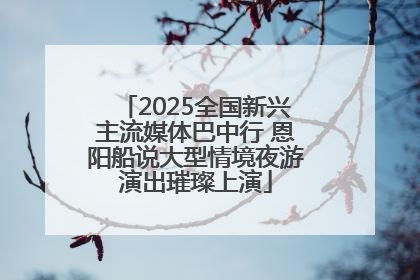 2025全国新兴主流媒体巴中行 恩阳船说大型情境夜游演出璀璨上演