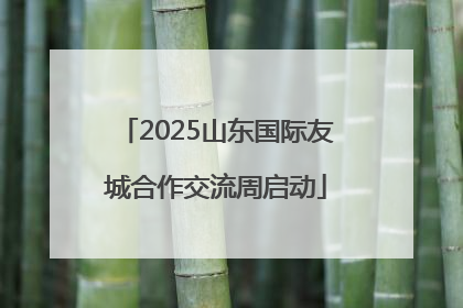 2025山东国际友城合作交流周启动